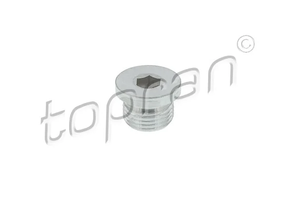 Screw Plug, oil sump
