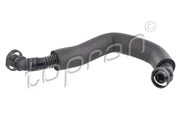 Hose, cylinder head cover ventilation