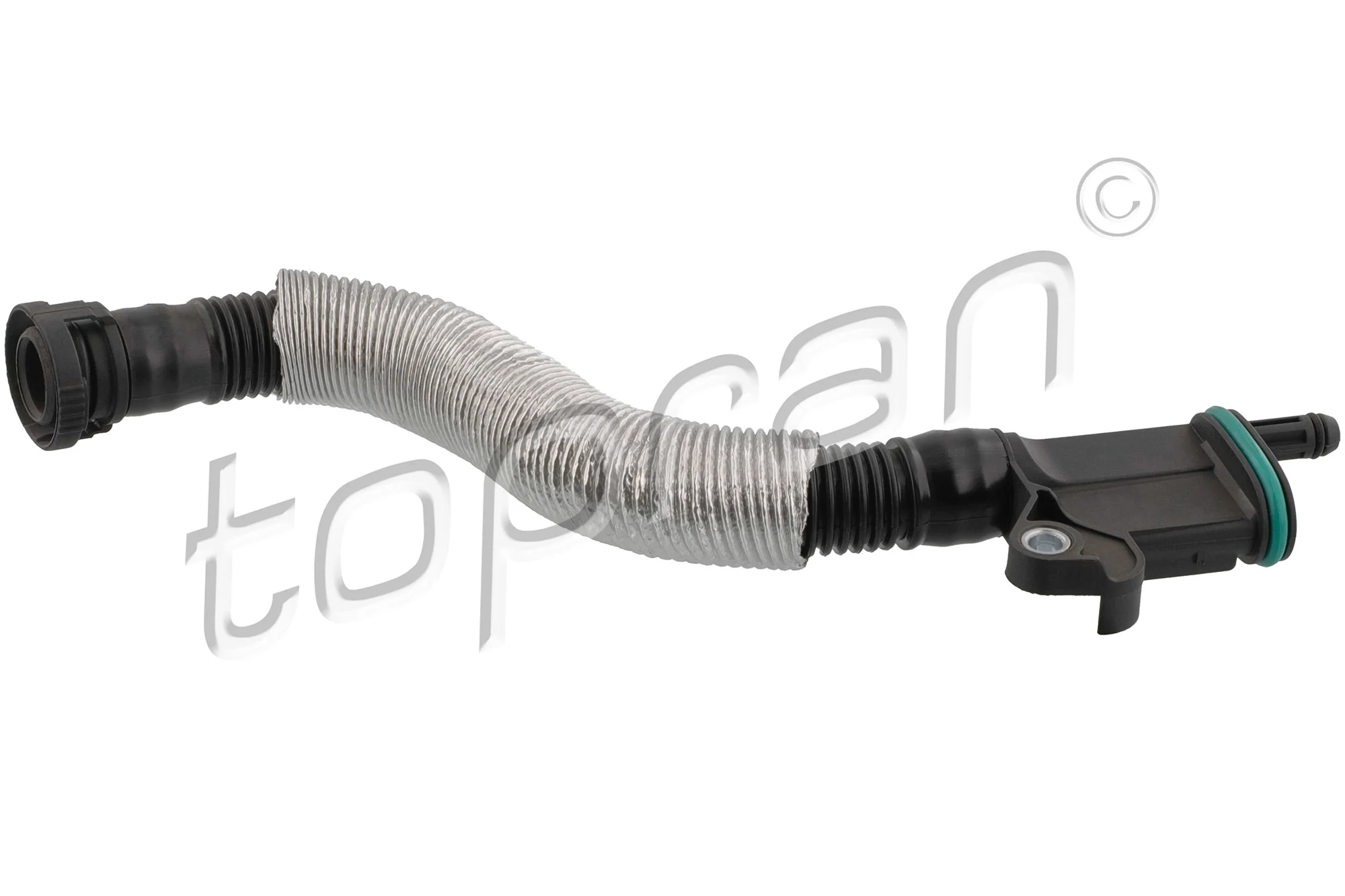 Hose, cylinder head cover ventilation