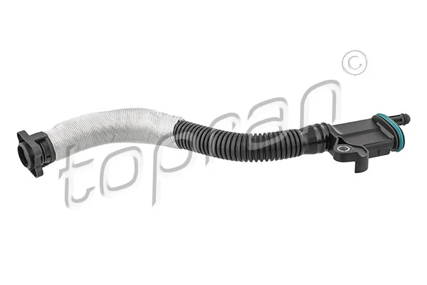 Hose, cylinder head cover ventilation