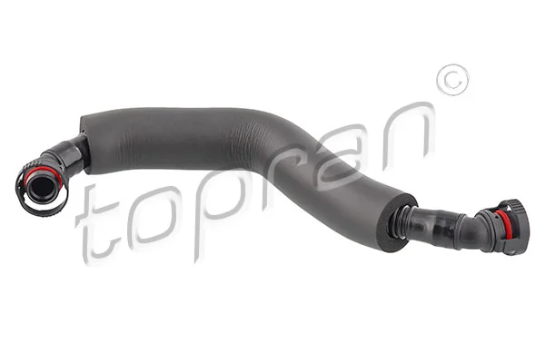 Hose, cylinder head cover ventilation