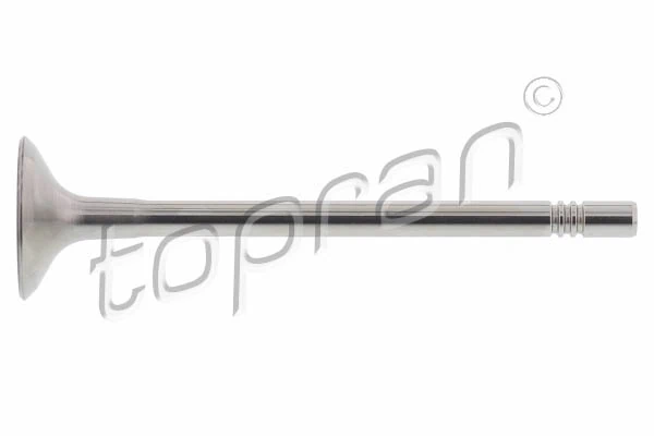 Intake Valve
