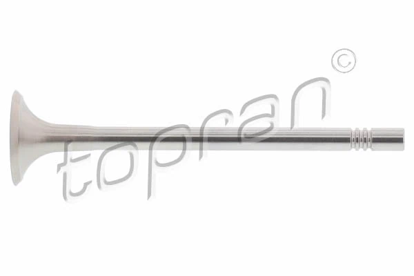 Exhaust Valve