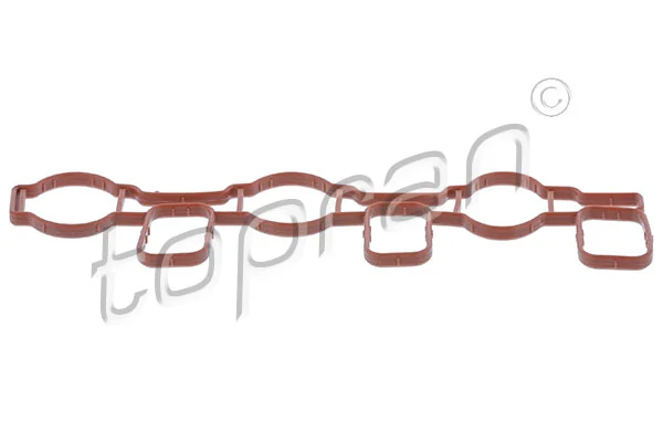 Gasket, intake manifold