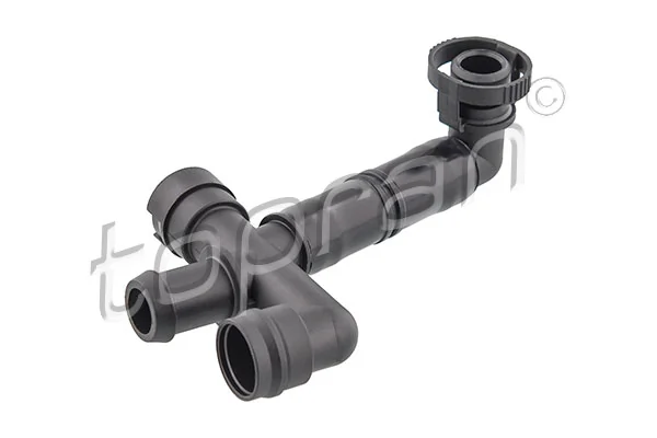 Hose, cylinder head cover ventilation