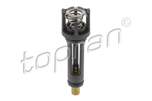 Thermostat, coolant