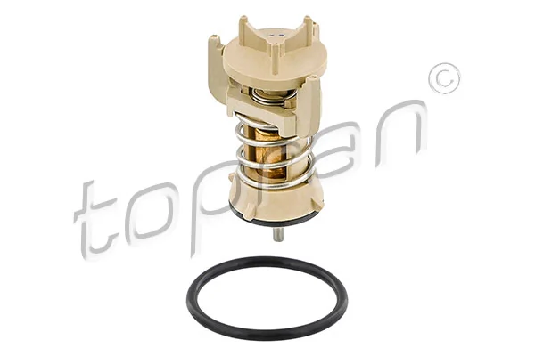 Thermostat, coolant