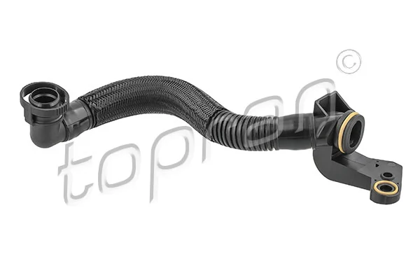Hose, cylinder head cover ventilation