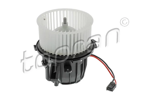 Interior Blower