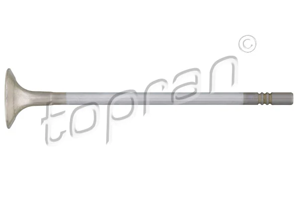 Exhaust Valve