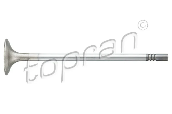 Exhaust Valve