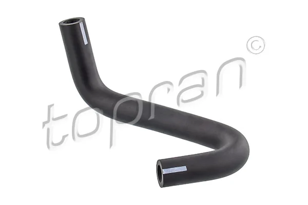 Hose, cylinder head cover ventilation