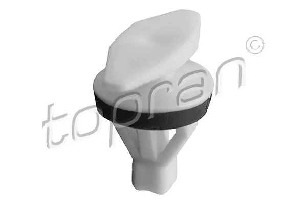 Retaining Clip, door panel