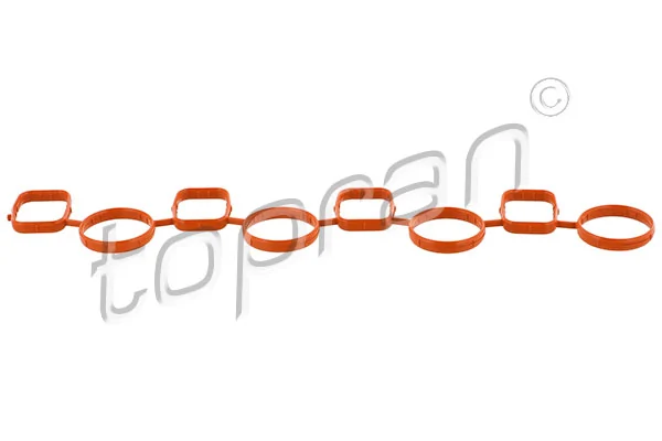Gasket, intake manifold