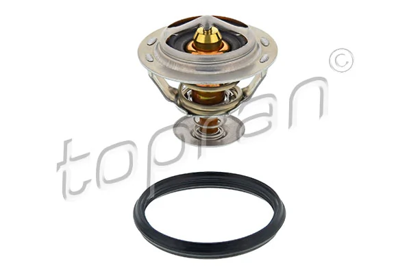 Thermostat, coolant