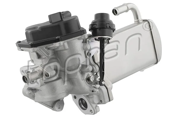 Cooler, exhaust gas recirculation