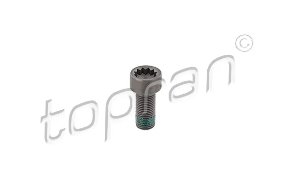 Flywheel Bolt