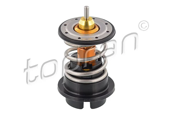 Thermostat, coolant