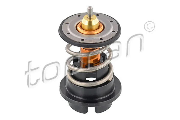 Thermostat, coolant