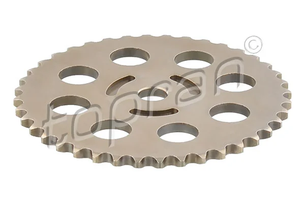 Gear/Sprocket, camshaft