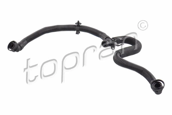 Hose, cylinder head cover ventilation