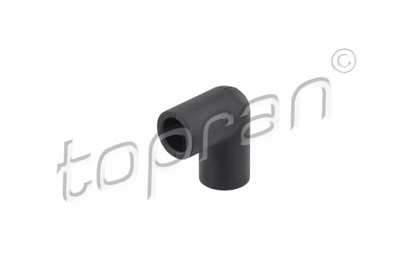 Hose, cylinder head cover ventilation