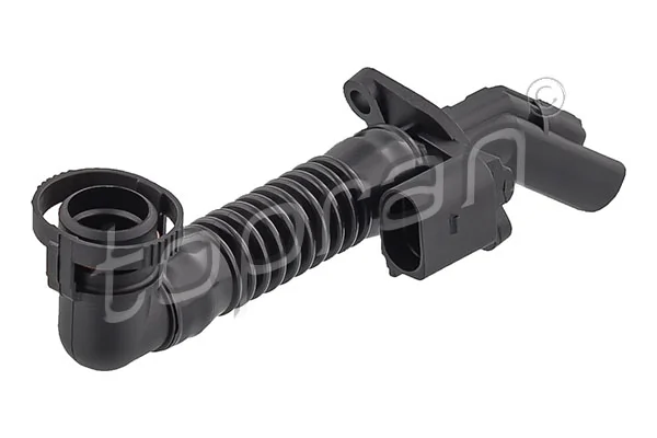 Hose, cylinder head cover ventilation