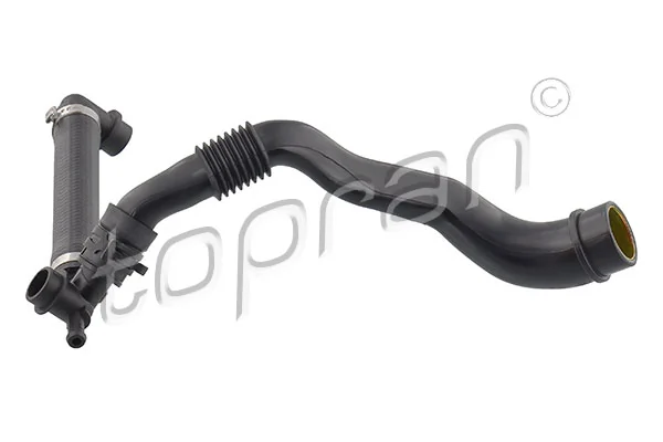 Hose, cylinder head cover ventilation