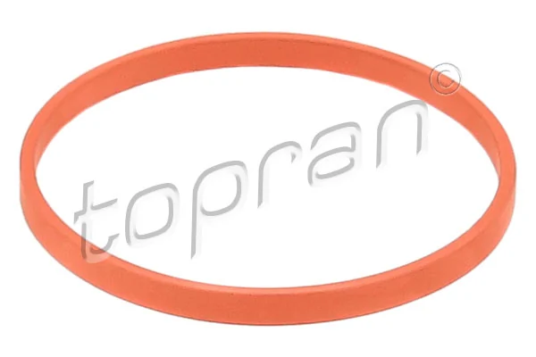 Gasket, throttle body