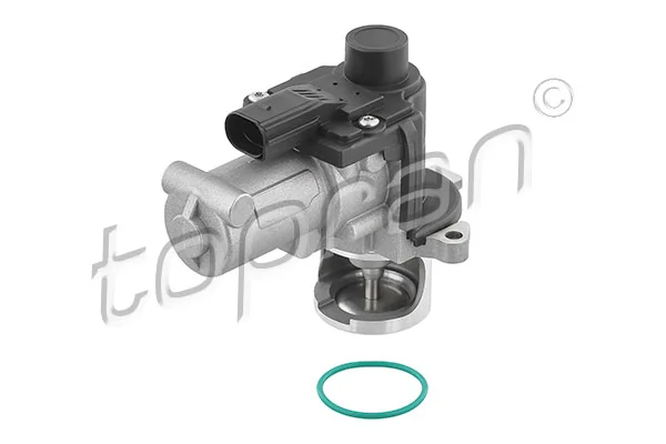 EGR Valve