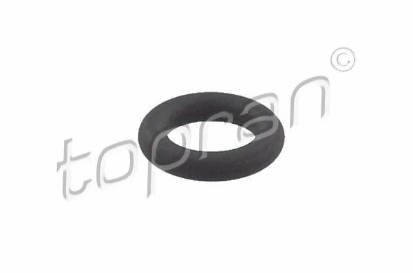 Seal Ring, injector