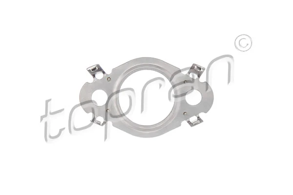 Gasket, EGR valve