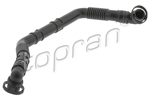 Hose, cylinder head cover ventilation