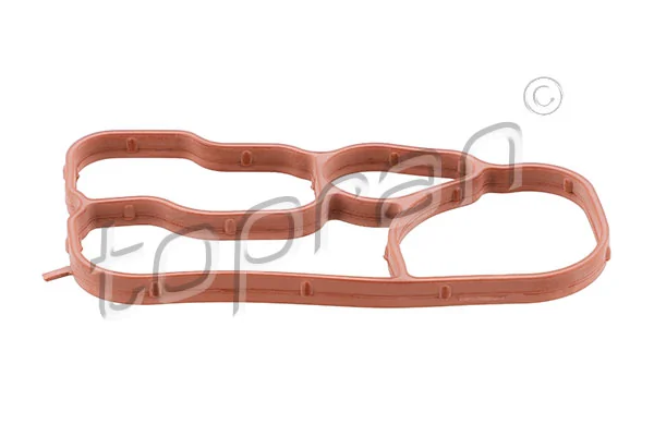 Gasket, oil cooler