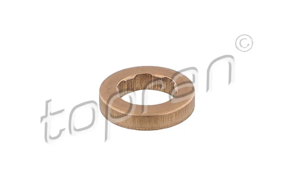 Seal Ring, injector