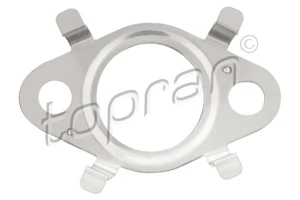 Gasket, EGR valve