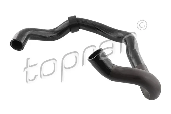 Radiator Hose