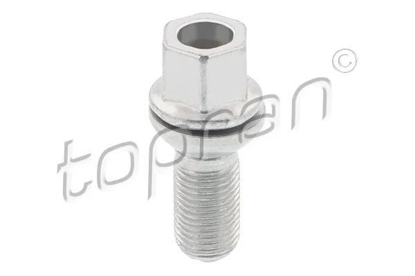 Wheel Bolt