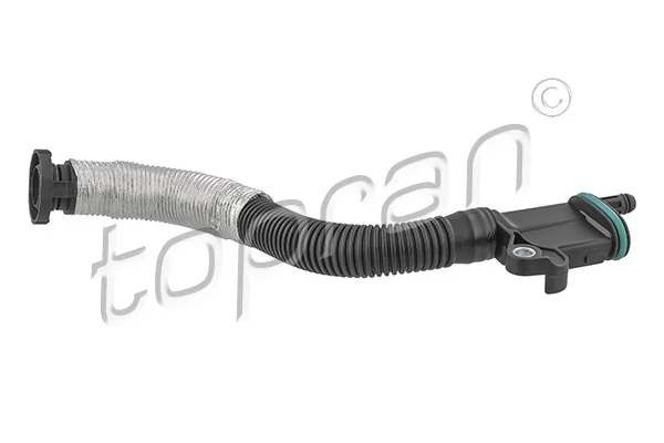Hose, cylinder head cover ventilation