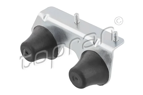 Mount, exhaust system
