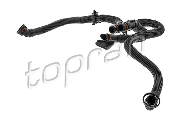 Hose, cylinder head cover ventilation