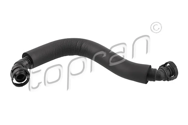 Hose, cylinder head cover ventilation