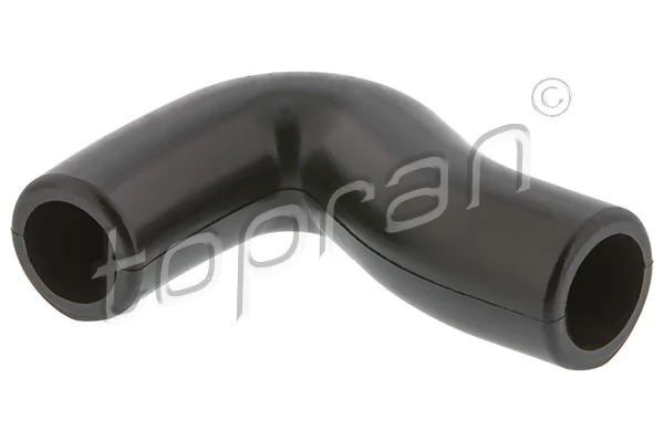 Hose, cylinder head cover ventilation