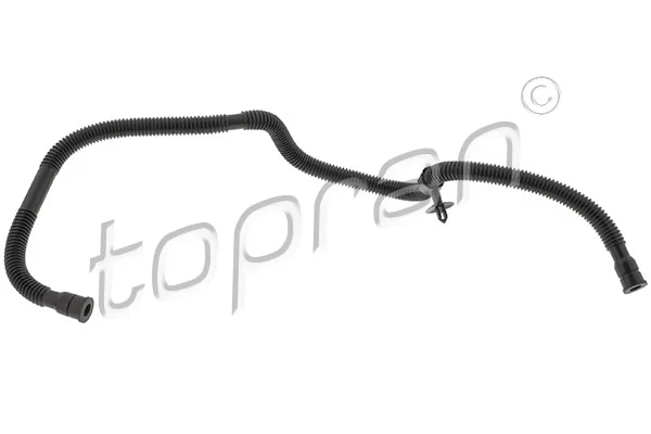 Hose, cylinder head cover ventilation