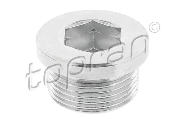 Screw Plug, automatic transmission casing