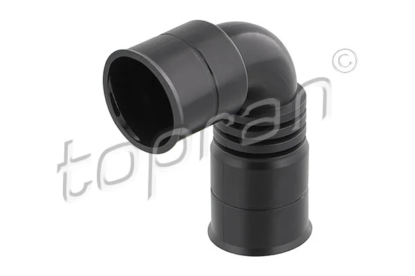 Hose, cylinder head cover ventilation