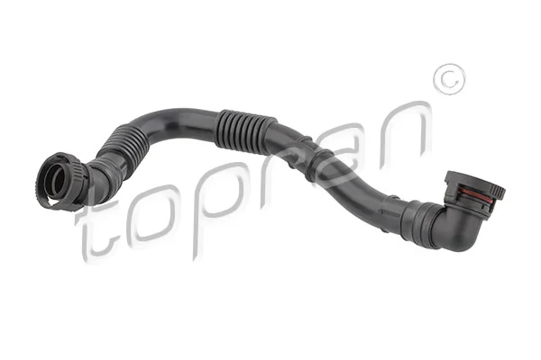 Hose, cylinder head cover ventilation