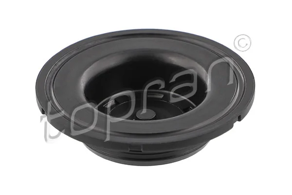 Gasket, timing case cover