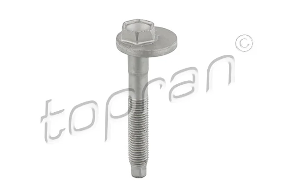 Camber Correction Screw