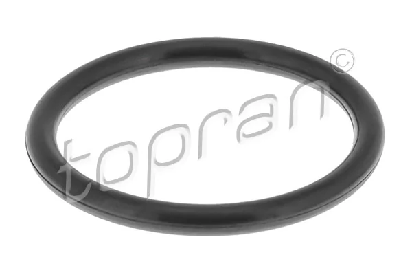 Seal Ring, coolant pipe
